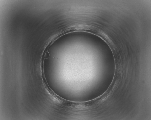 X0000074020986200608281427