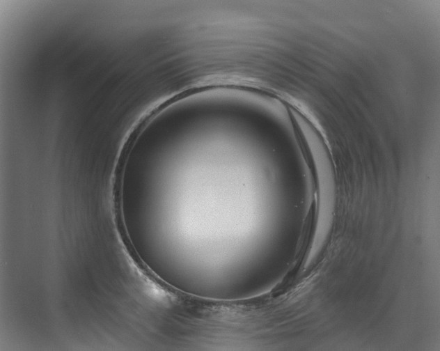 X0000074020995200608281427