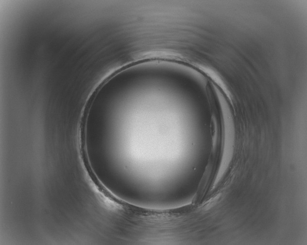 X0000074020999200608281427