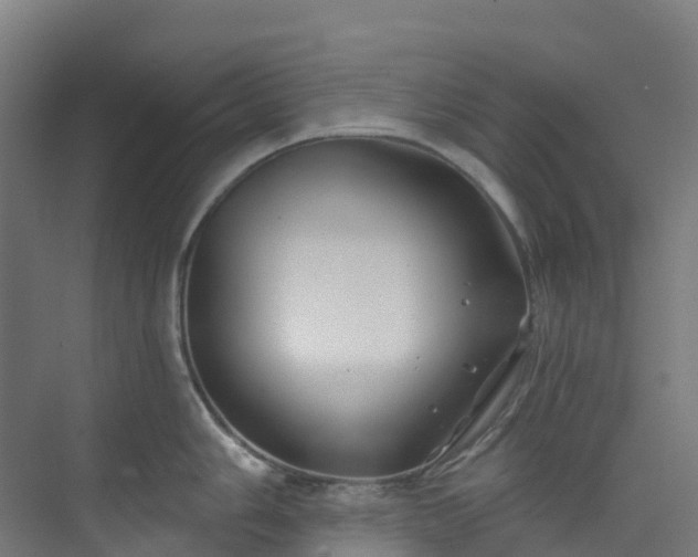 X0000074021006200608281427