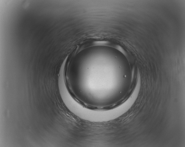 X0000074021010200608281426