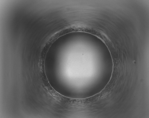 X0000074021016200608281426