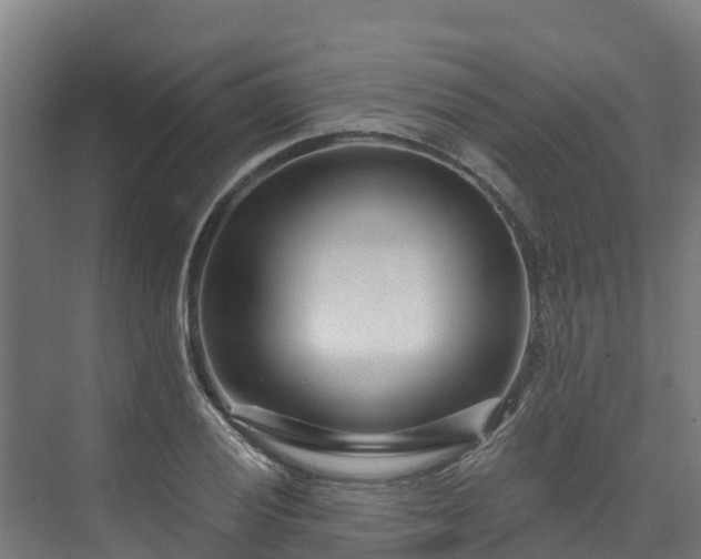 X0000074021028200608281426