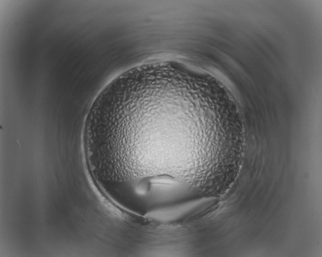 X0000074021055200608281426