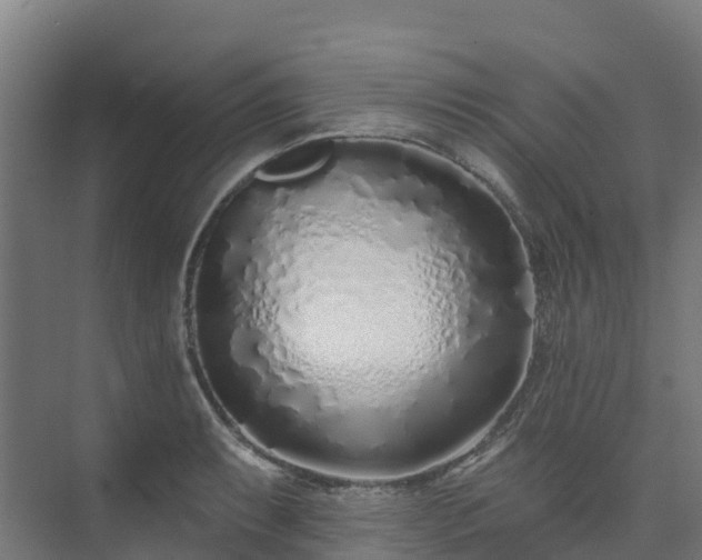 X0000074021087200608281425