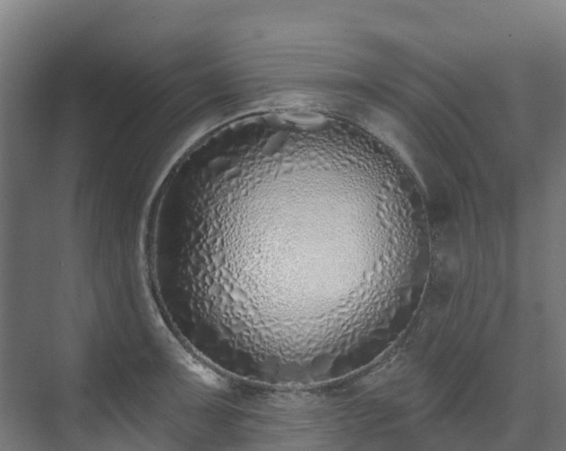 X0000074021091200608281425