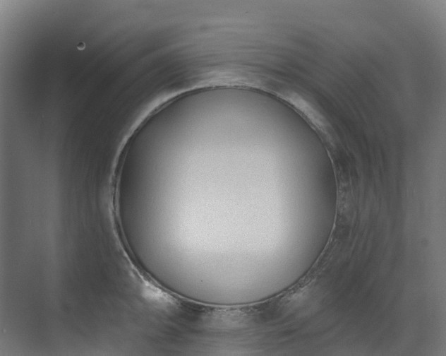 X0000074021094200608281425