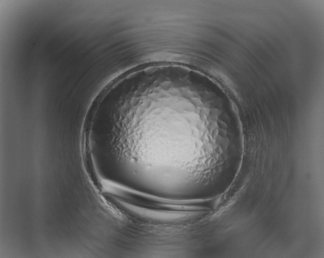 X0000074021125200608281424