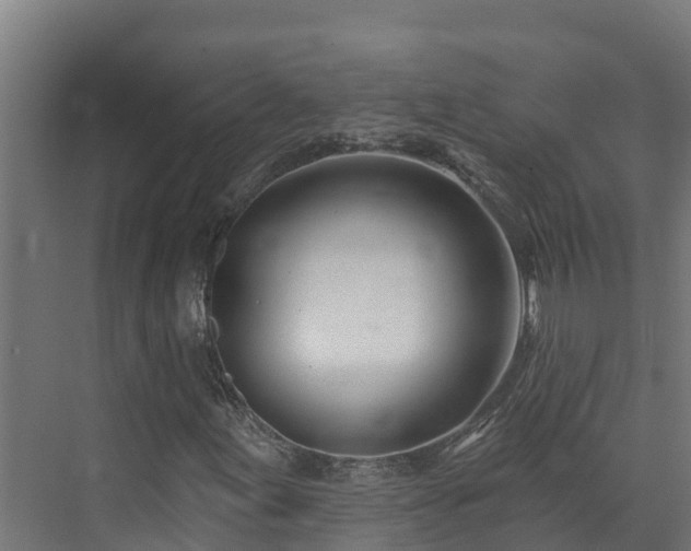 X0000074021155200608281424
