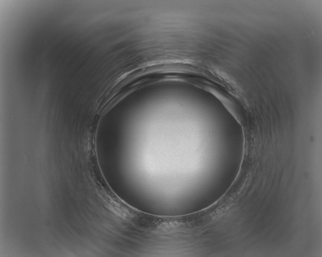 X0000074021169200608281424