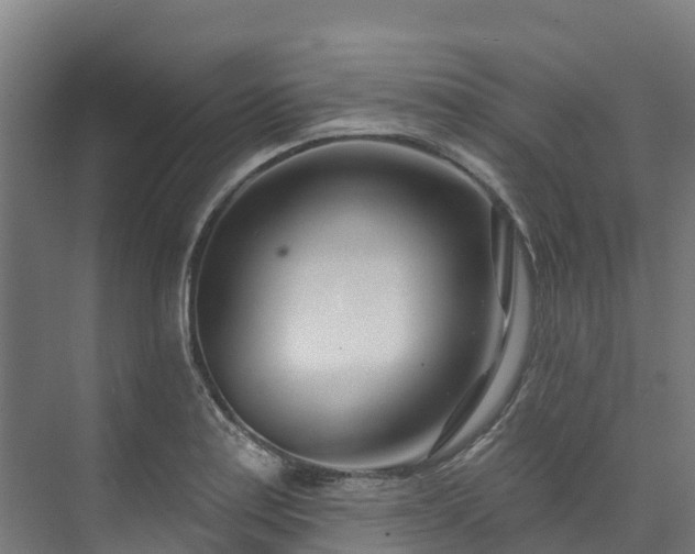 X0000074021179200608281424