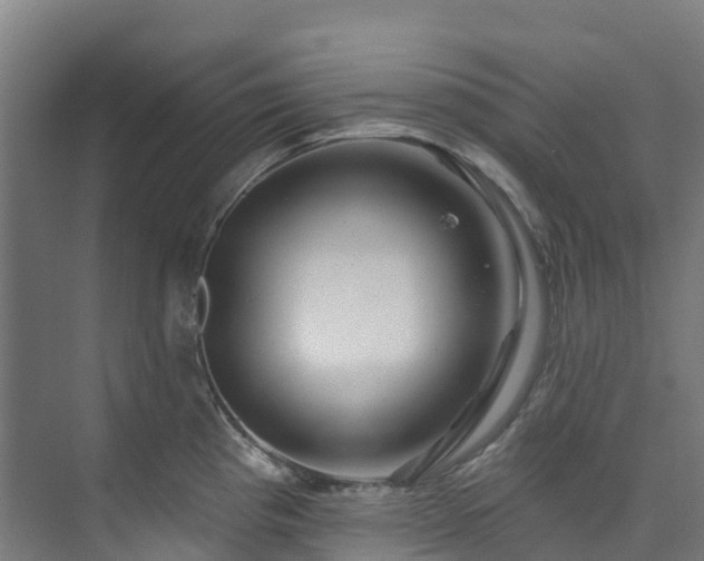 X0000074021193200608281423