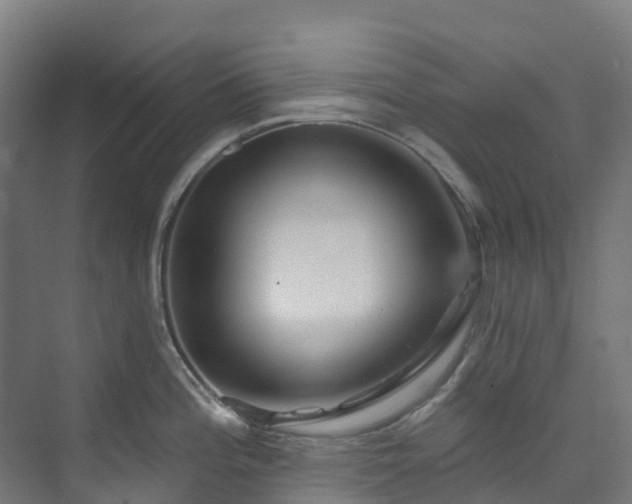 X0000074021196200608281423