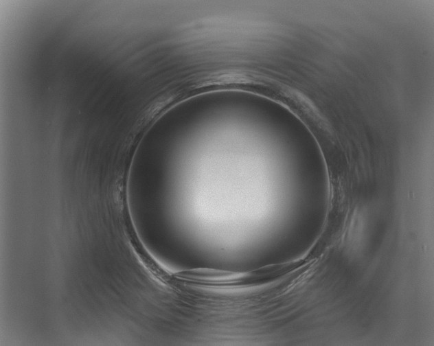 X0000074021225200608281423