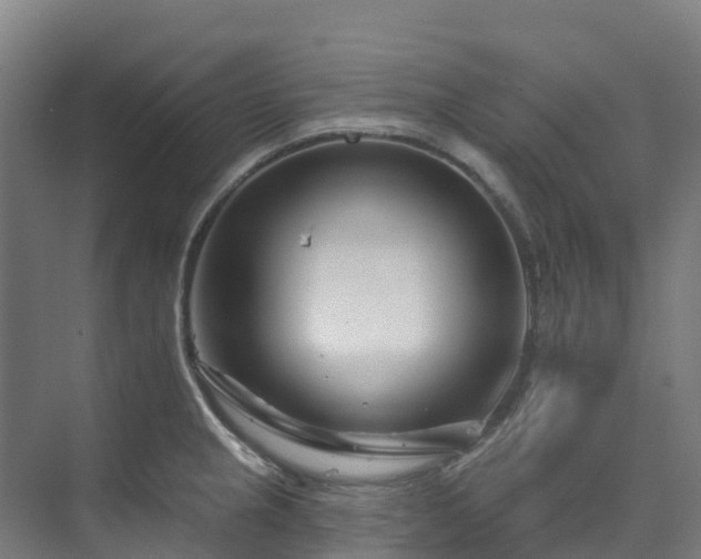X0000074021237200608281423