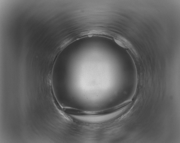X0000074021241200608281423