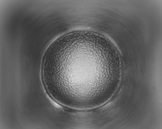 X0000074021245200608281423