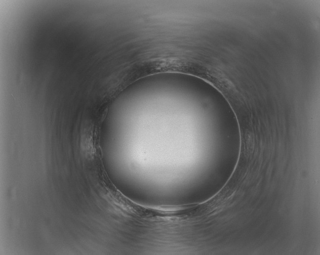 X0000074021250200608281422