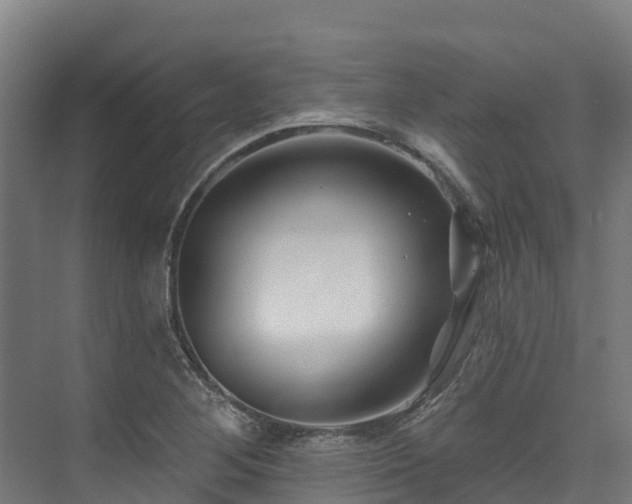 X0000074021268200608281422