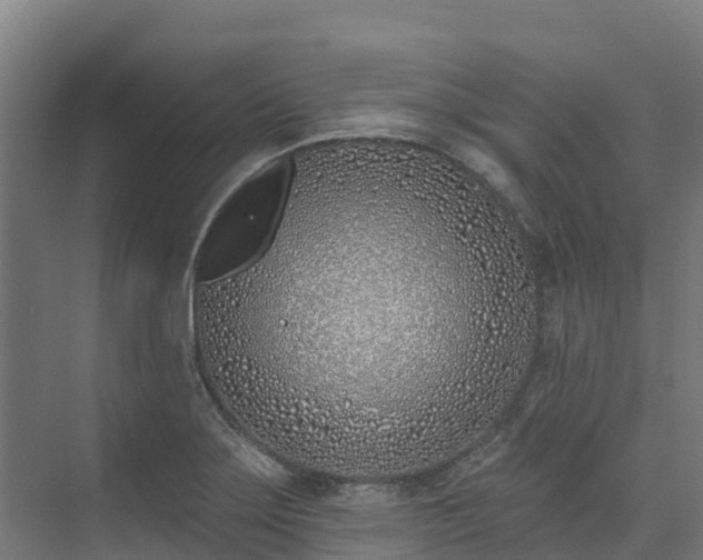 X0000074021275200608281422