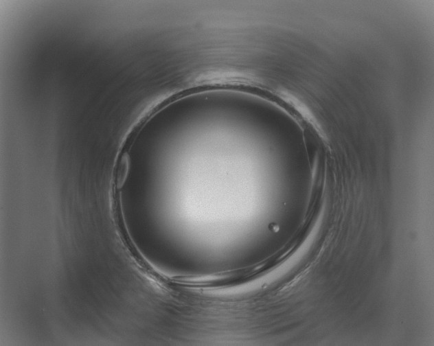 X0000074021277200608281422
