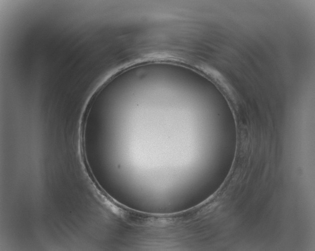 X0000074021286200608281422