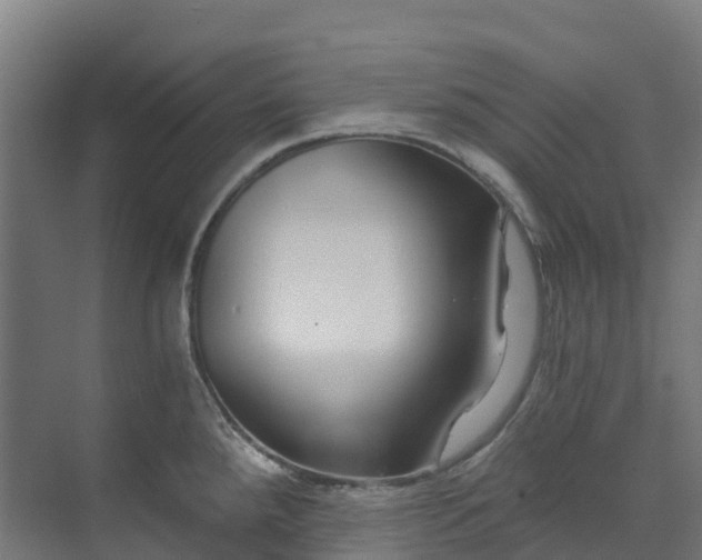 X0000074021288200608281422