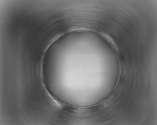 X0000074021290200608281422