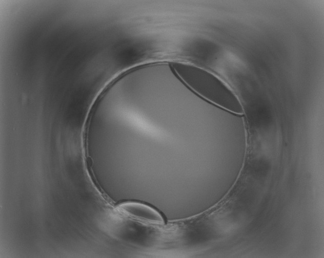 X0000074021291200608281422