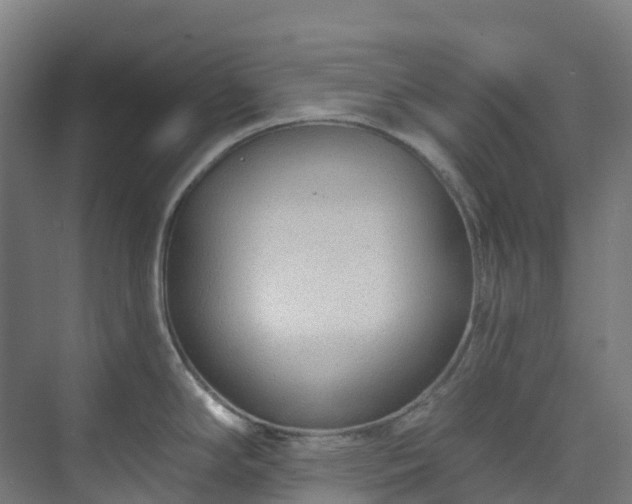 X0000074021294200608281422