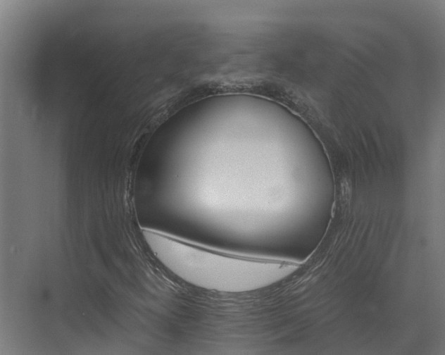 X0000074021300200608281421