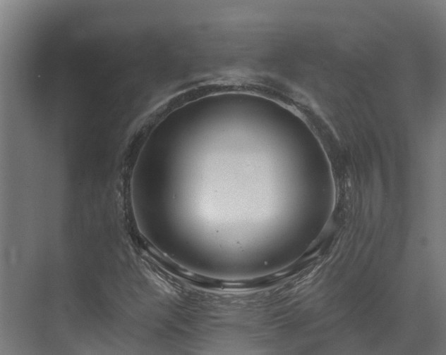 X0000074021304200608281421