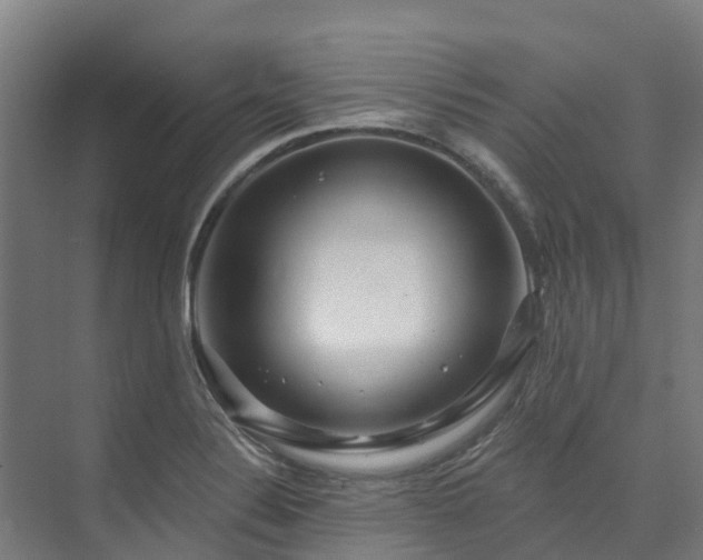 X0000074021324200608281421