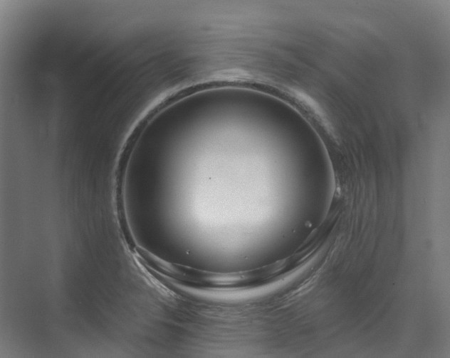 X0000074021326200608281421