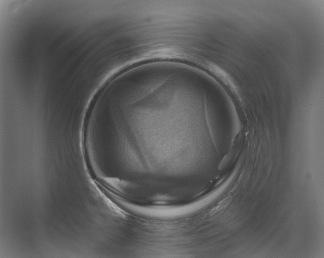 X0000074021334200608281421