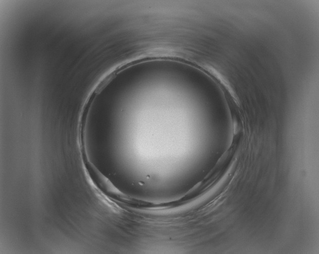X0000074021342200608281422