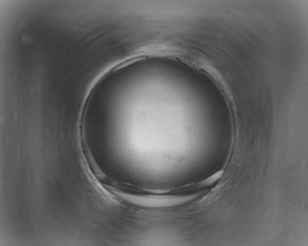 X0000074021344200608281422