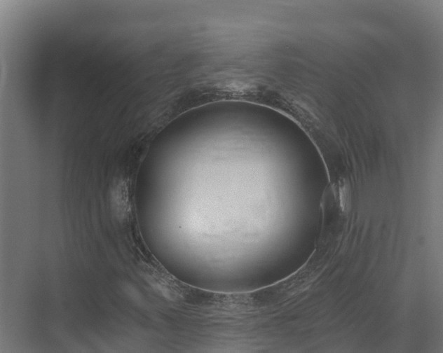 X0000074021347200608281421