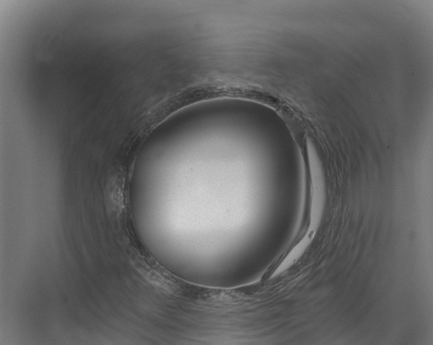 X0000074021348200608281421
