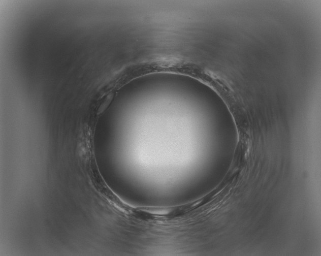X0000074021349200608281421