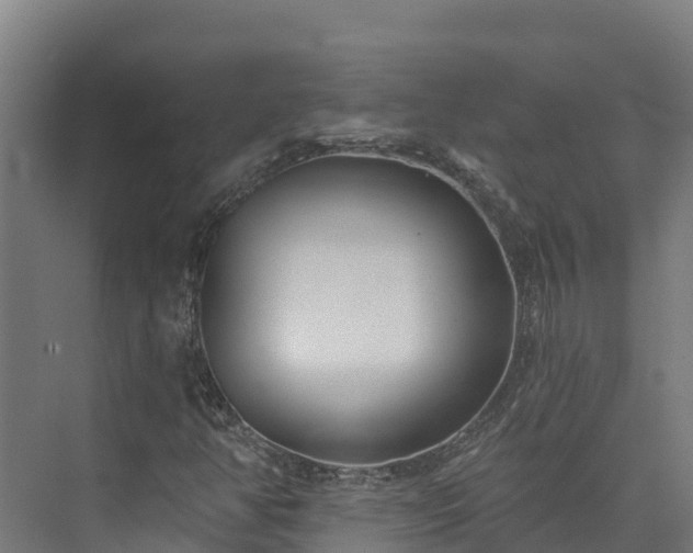 X0000074021350200608281421