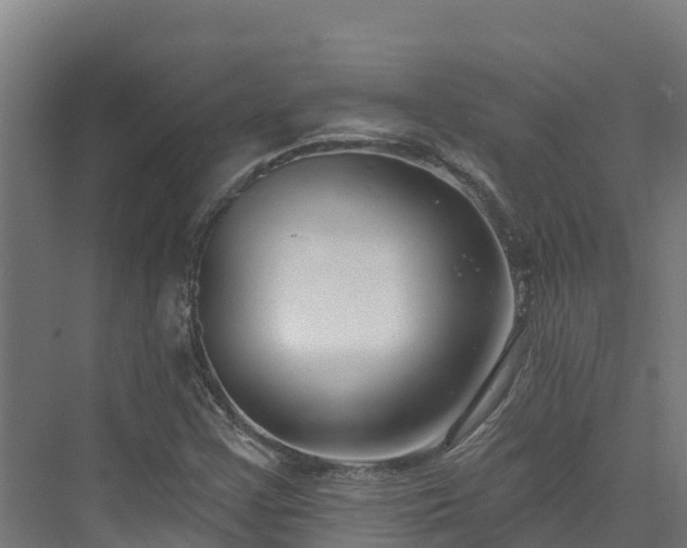 X0000074021355200608281421