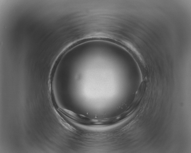 X0000074021372200608281420
