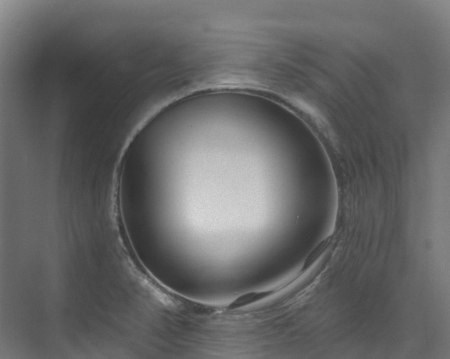 X0000074021374200608281420