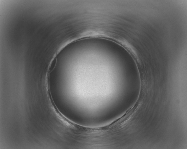 X0000074021382200608281420