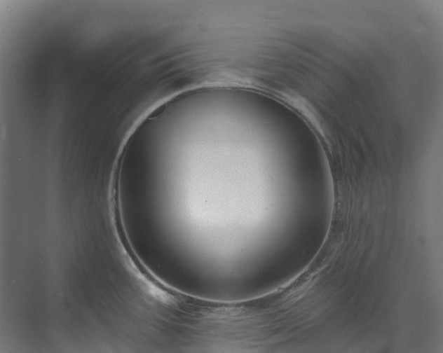 X0000074021387200608281420