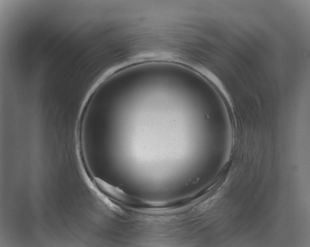 X0000074021389200608281420