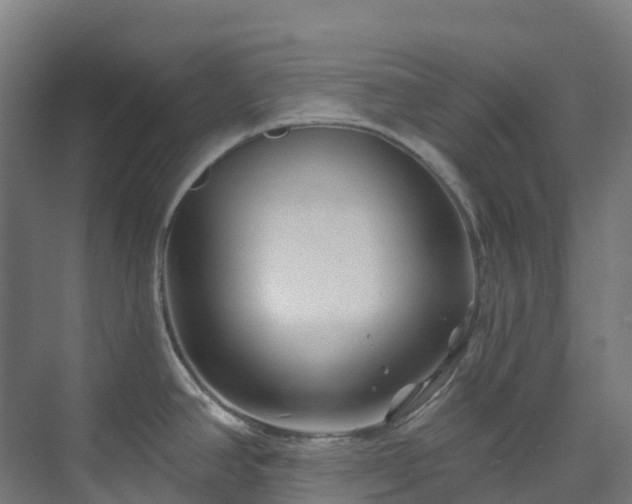 X0000074021390200608281420