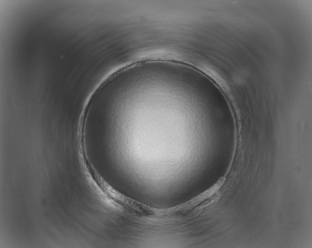 X0000074021392200608281420