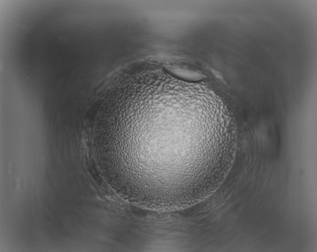 X0000074021397200608281419